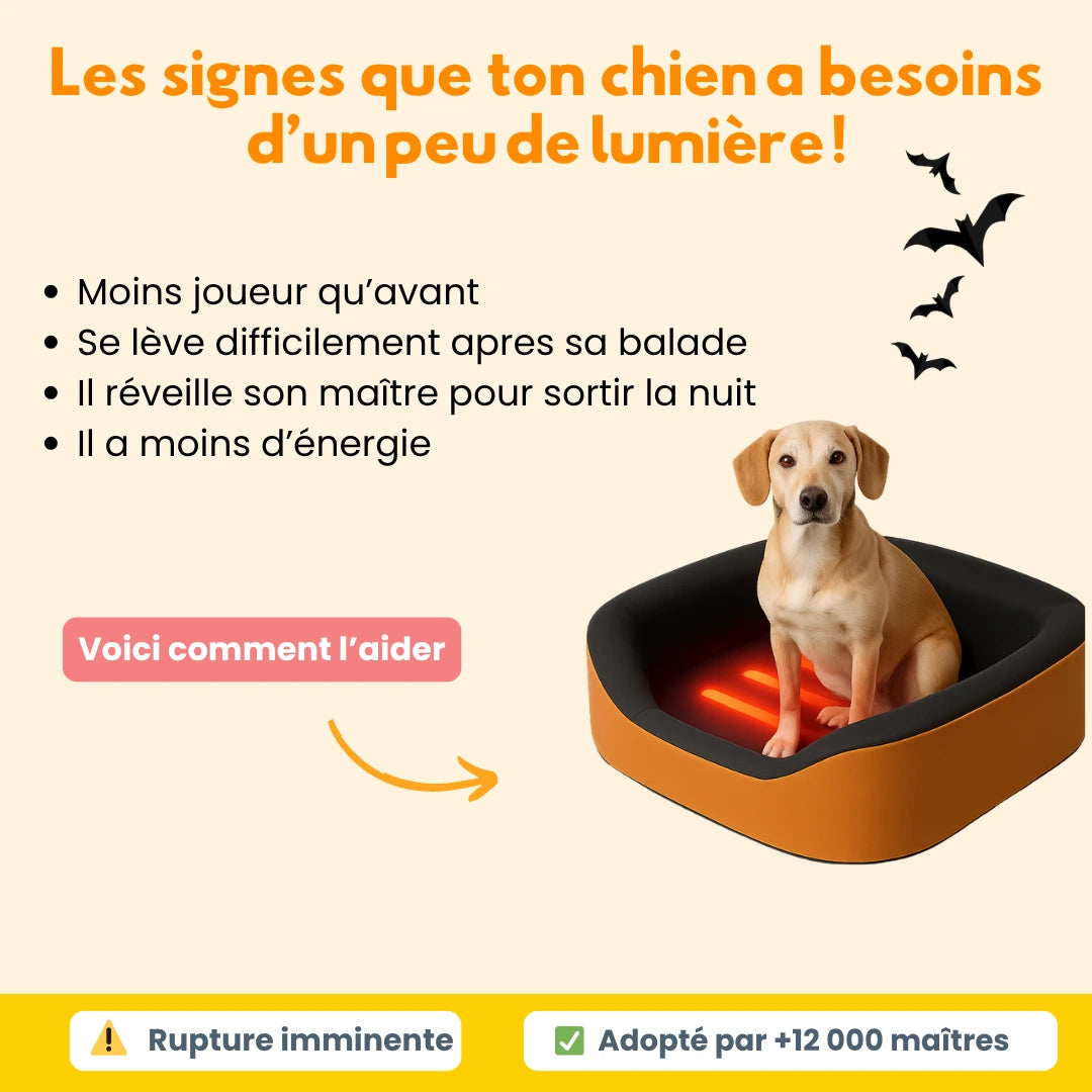 Le Panier N°1 du Bien-Être Canin 🥇
