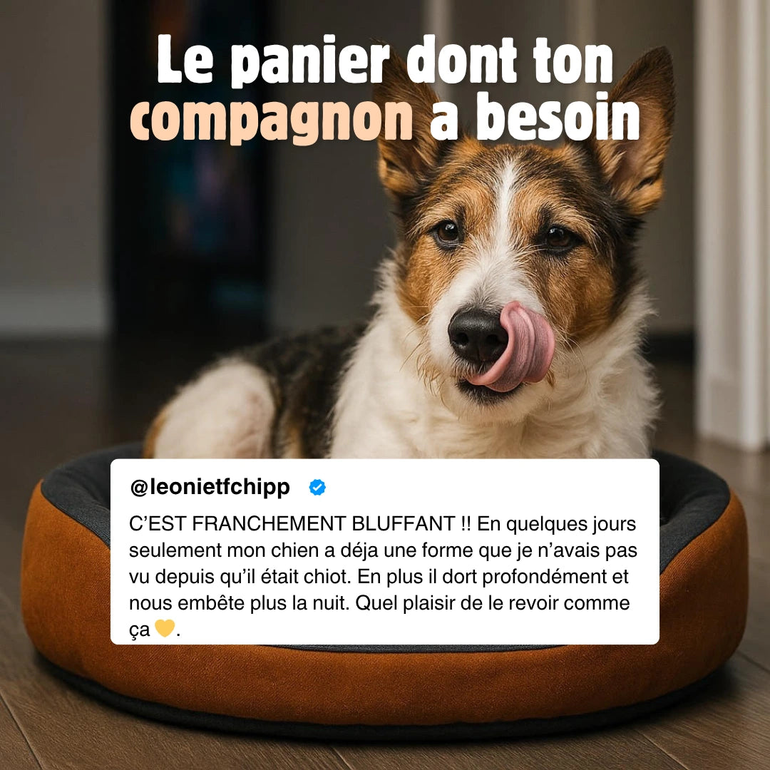 Le Panier N°1 du Bien-Être Canin 🥇