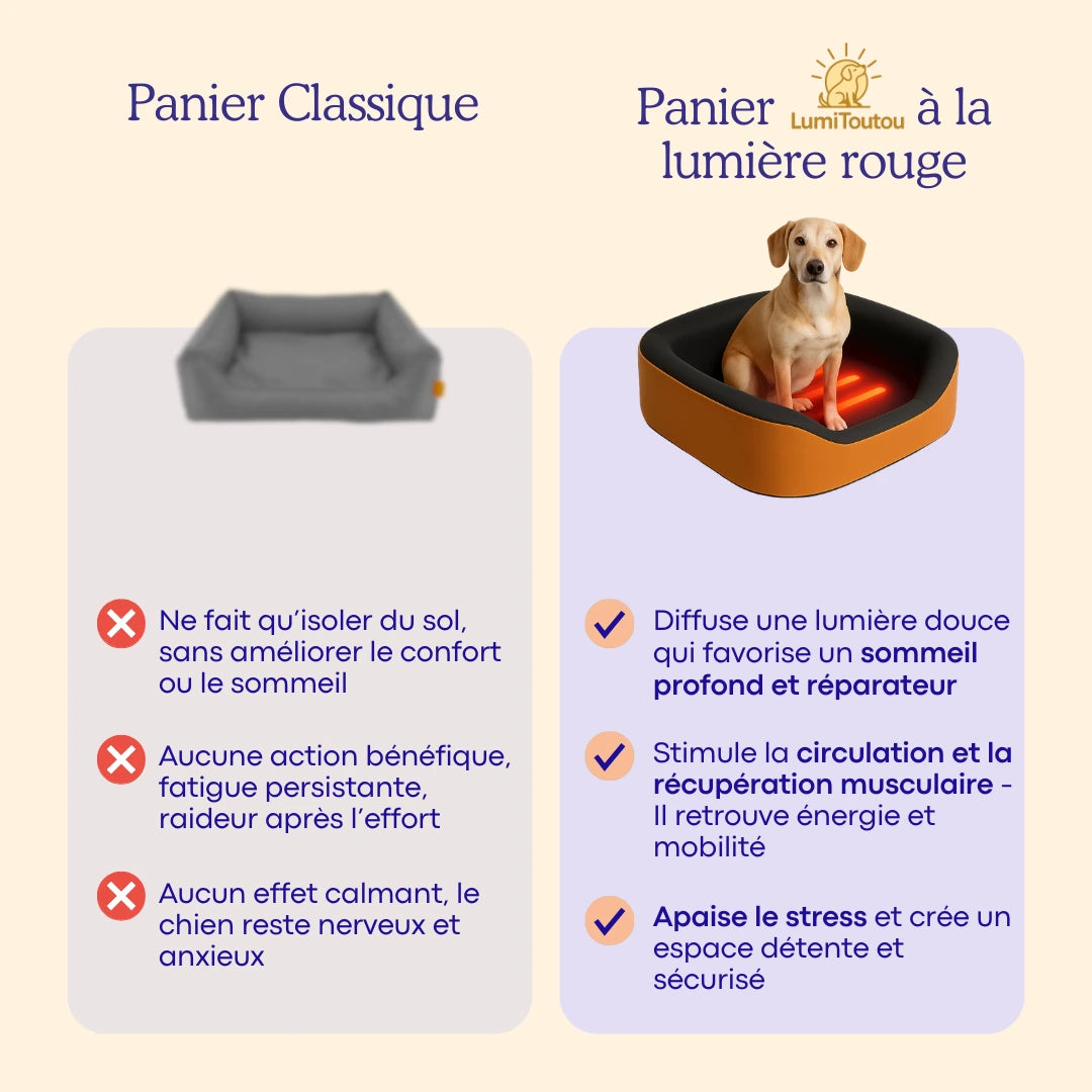 Le Panier N°1 du Bien-Être Canin 🥇