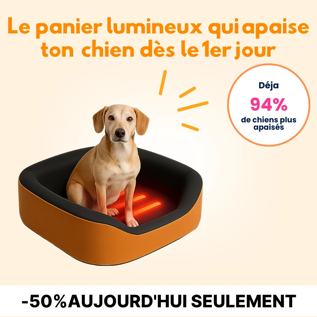 Le Panier N°1 du Bien-Être Canin 🥇