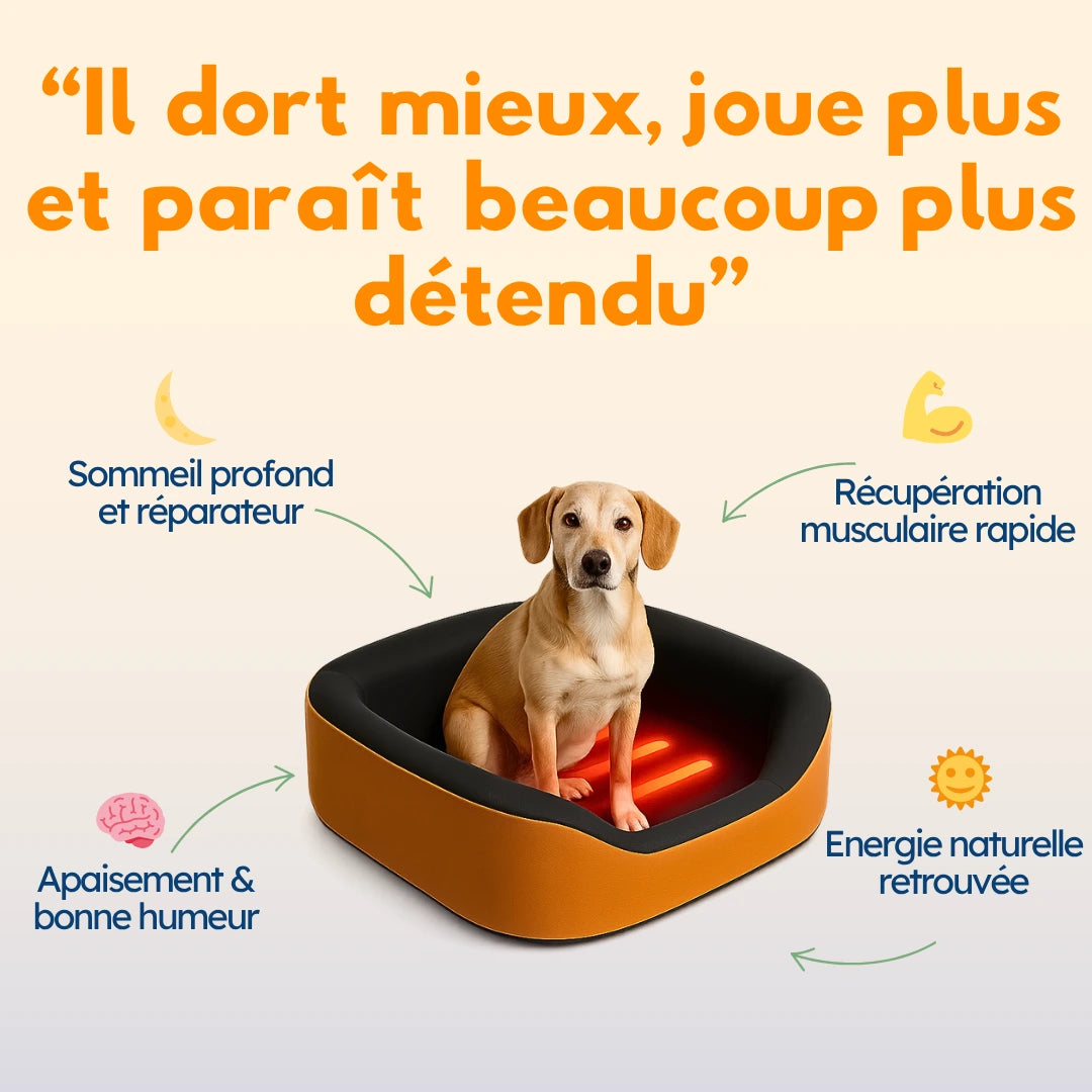 Le Panier N°1 du Bien-Être Canin 🥇